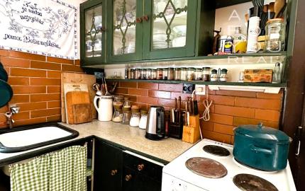 AFYREAL predaj drevenice na samote pod lesom pri Trnave