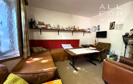 AFYREAL predaj drevenice na samote pod lesom pri Trnave