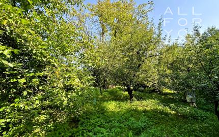 AFYREAL predaj drevenice na samote pod lesom pri Trnave