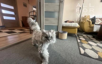 AFYREAL Predaj 4izb byt Vyšehradská Petržalka po staršej kompletnej rekonštrukcii, balkón