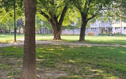 3 izbový zrekonštruovaný byt na prenájom Bratislava - Petržalka