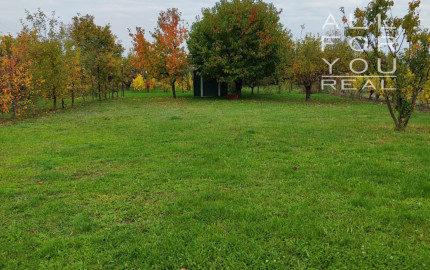 Ponúkame na predaj priestranný rodinný dom v srdci Tokajskej vínnej oblasti – Slovenské Nové Mesto.