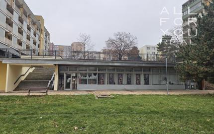 Obchodný - skladový priestor v Karlovej Vsi na prenájom, 130m2