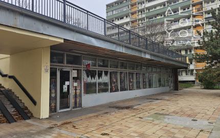 Obchodný - skladový priestor v Karlovej Vsi na prenájom, 130m2