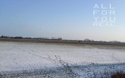 Prijemny veľký 2i byt na prenájom