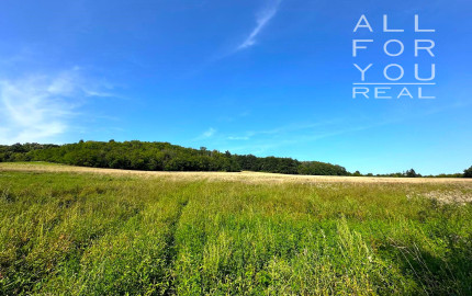 AFYREAL predaj drevenice na samote pod lesom pri Trnave