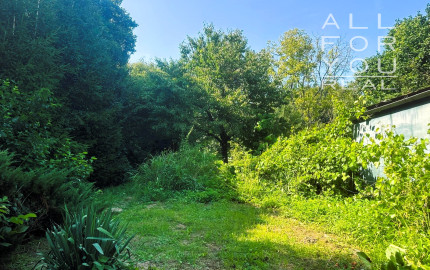 AFYREAL predaj drevenice na samote pod lesom pri Trnave