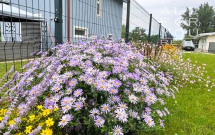 AFYREAL video Predaj chata pri jazere, 20min od Čunova, 3izb kompl zariadená novostavba pri jazere Vojka, pre milovníkov ticha