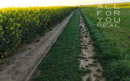 Afyreal Pastuchov dom - chata po rekonštrukcii 2019- okamžité bývanie s menšími úpravami
