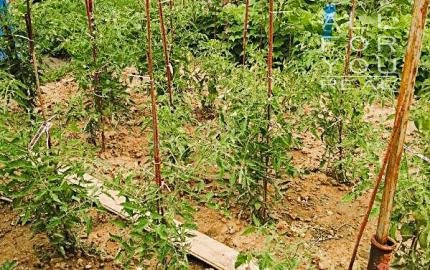 Afyreal Pastuchov dom - chata po rekonštrukcii 2019- okamžité bývanie s menšími úpravami