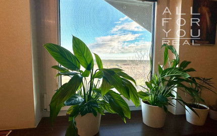 AFYREAL VIDEO predaj 3-izb rekreačný dom pri Šulianskom jazere - bývajte na dovolenke celý rok