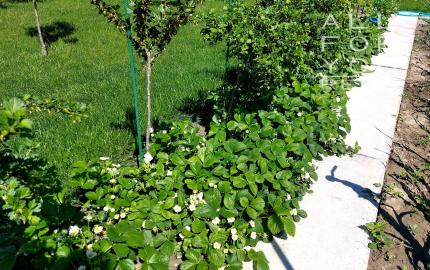 AFYREAL predaj 3izb dom, nádherná príroda, novostavba, top lokalita - pokoj, ticho, polosamota, sútok riek, Šoriakoš - Mostová