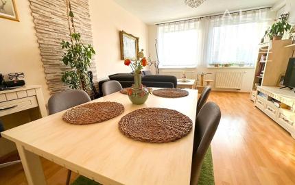 AFYREAL Petržalské korzo- predaj 2iz byt s vlastným kotlom, loggia, pivnica, výťah.