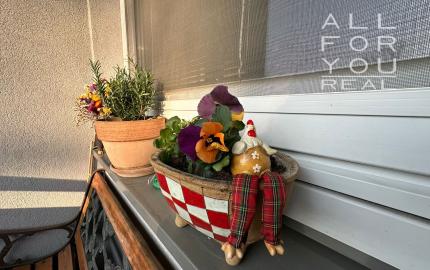 AFYREAL Petržalské korzo- predaj 2iz byt s vlastným kotlom, loggia, pivnica, výťah.