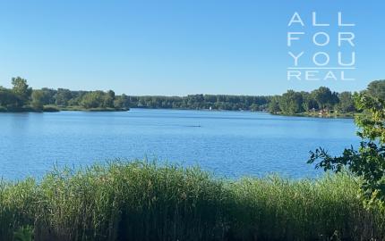 AFYREAL prenájom dog friendly 3izb celoročne obývateľnej chaty iba 25km od Rusoviec - pri Šulianskom jazere, tiché a pokojné prostredie.