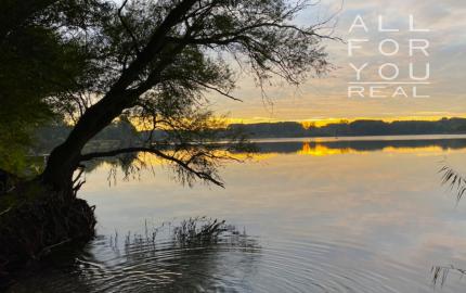 AFYREAL prenájom dog friendly 3izb celoročne obývateľnej chaty iba 25km od Rusoviec - pri Šulianskom jazere, tiché a pokojné prostredie.