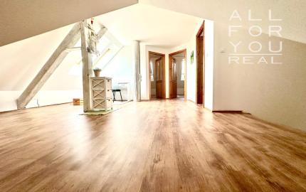 AFYREAL Vojka predaj dom na okamžité bývanie, 4 izby, podnikateľská časť- hala a dieľňa