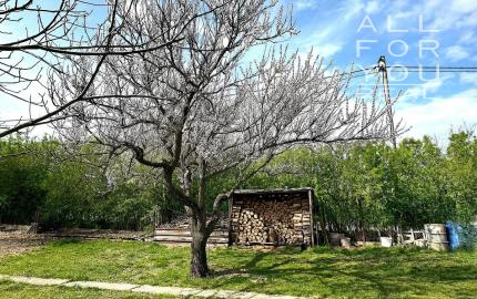 AFYREAL predaj novostavba 3izb RD s 8ár záhradou, dispozícia na 4 izb RD,  Štvrtok na ostrove- 8min Podd. Biskupice.