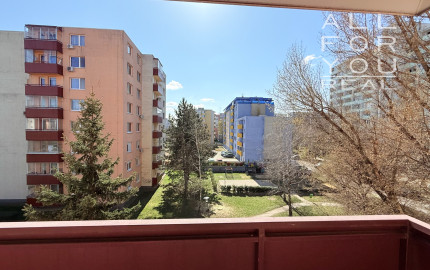 Dokonalý priestor pre vaše nápady, Azalková, Ružinov