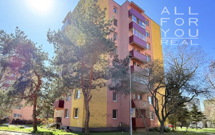 Dokonalý priestor pre vaše nápady, Azalková, Ružinov