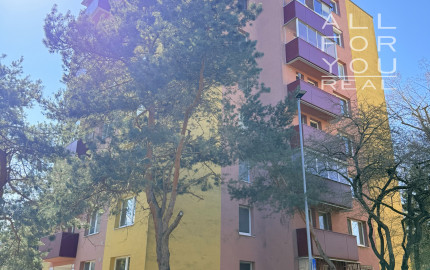 Dokonalý priestor pre vaše nápady, Azalková, Ružinov