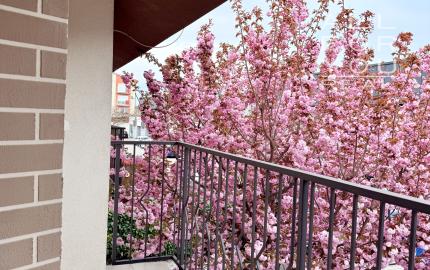 Viac izieb, viac pohody: 5-izbový rodinný dom, kde nikto nemusí robiť kompromisy