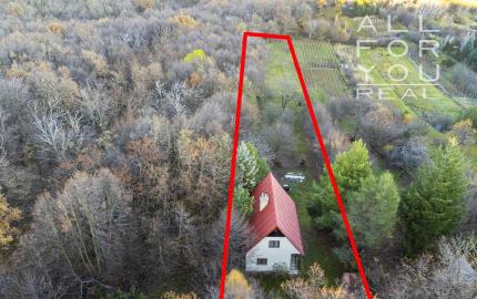 3 podlažný dom 95 m2 - pozemok 2884 m2 Svätý Jur   *** SÚPISNÉ ČÍSLO - TRVALÉ BÝVANIE ***