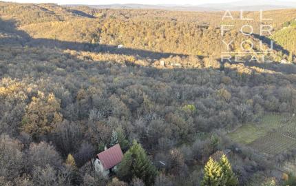 3 podlažný dom 95 m2 - pozemok 2884 m2 Svätý Jur   *** SÚPISNÉ ČÍSLO - TRVALÉ BÝVANIE ***