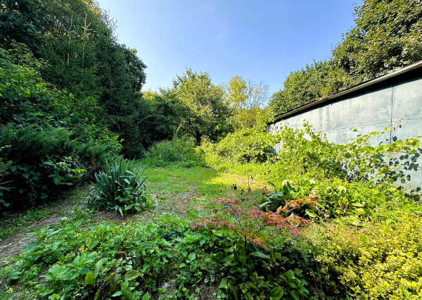 AFYREAL predaj drevenice na samote pod lesom pri Trnave