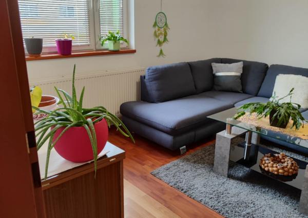 Ponúkame na predaj priestranný rodinný dom v srdci Tokajskej vínnej oblasti – Slovenské Nové Mesto.