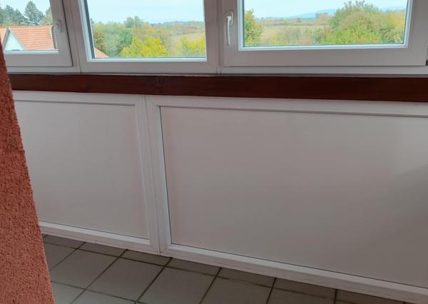 Ponúkame na predaj priestranný rodinný dom v srdci Tokajskej vínnej oblasti – Slovenské Nové Mesto.