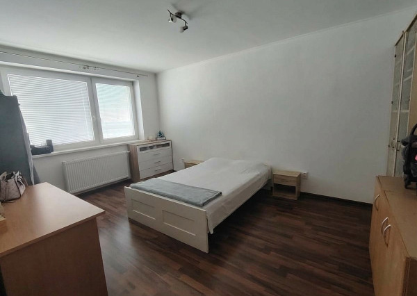 Prijemny veľký 2i byt na prenájom