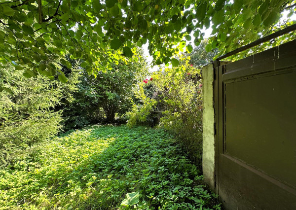 AFYREAL predaj drevenice na samote pod lesom pri Trnave