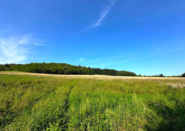 AFYREAL predaj drevenice na samote pod lesom pri Trnave