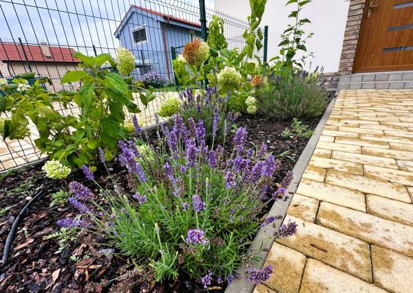 AFYREAL video Predaj chata pri jazere, 20min od Čunova, 3izb kompl zariadená novostavba pri jazere Vojka, pre milovníkov ticha