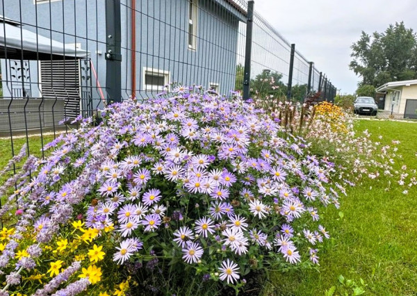 AFYREAL video Predaj chata pri jazere, 20min od Čunova, 3izb kompl zariadená novostavba pri jazere Vojka, pre milovníkov ticha