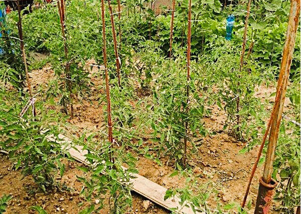 Afyreal Pastuchov dom - chata po rekonštrukcii 2019- okamžité bývanie s menšími úpravami