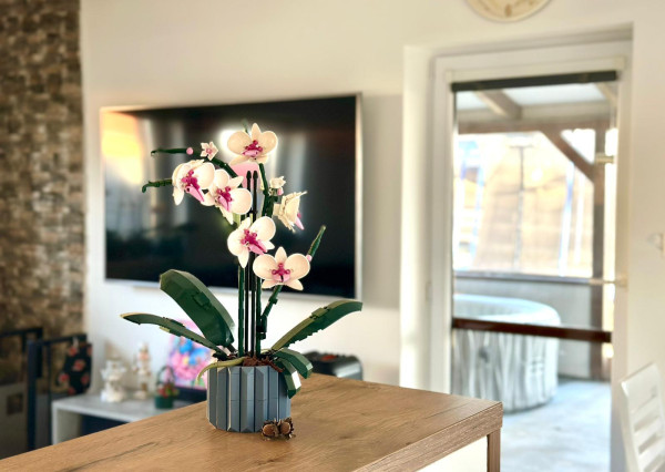 AFYREAL VIDEO predaj 3-izb rekreačný dom pri Šulianskom jazere - bývajte na dovolenke celý rok