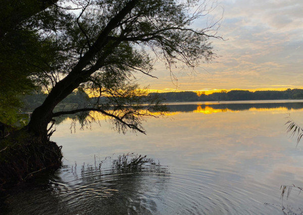 AFYREAL VIDEO predaj 3-izb rekreačný dom pri Šulianskom jazere - bývajte na dovolenke celý rok