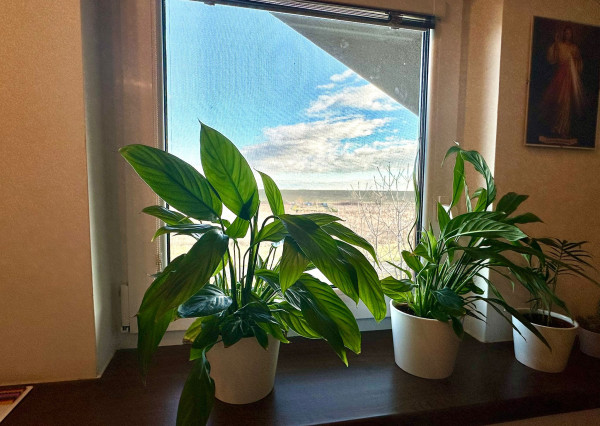 AFYREAL VIDEO predaj 3-izb rekreačný dom pri Šulianskom jazere - bývajte na dovolenke celý rok