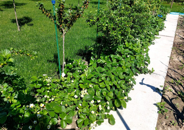 AFYREAL predaj 3izb dom, nádherná príroda, novostavba, top lokalita - pokoj, ticho, polosamota, sútok riek, Šoriakoš - Mostová