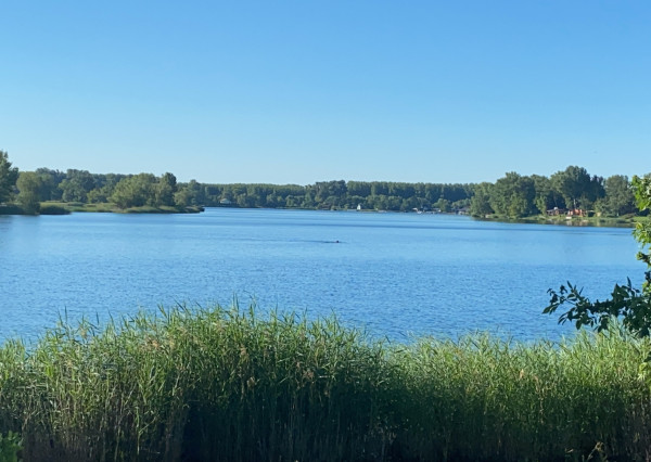 AFYREAL prenájom dog friendly 3izb celoročne obývateľnej chaty iba 25km od Rusoviec - pri Šulianskom jazere, tiché a pokojné prostredie.