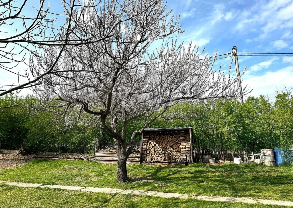 AFYREAL predaj novostavba 3izb RD s 8ár záhradou, dispozícia na 4 izb RD,  Štvrtok na ostrove- 8min Podd. Biskupice.