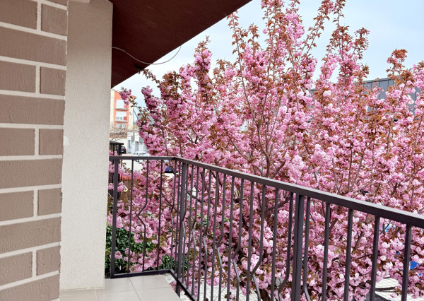 Viac izieb, viac pohody: 5-izbový rodinný dom, kde nikto nemusí robiť kompromisy